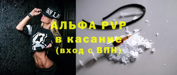 сатива Беломорск