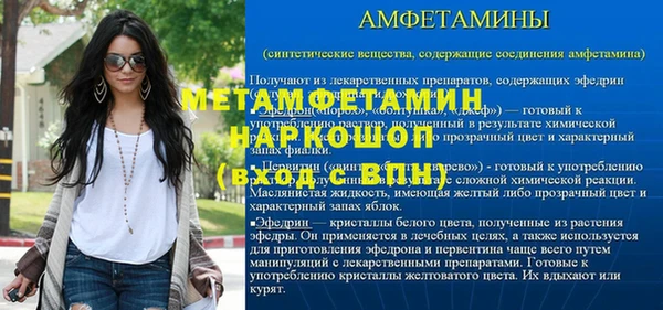 сатива Беломорск