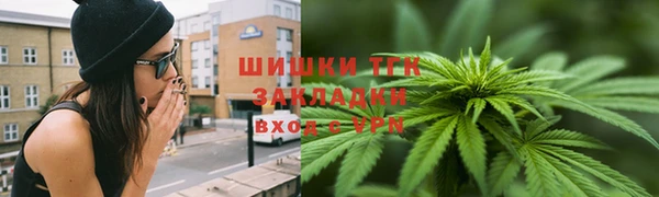 сатива Беломорск