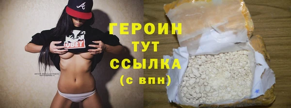 сатива Беломорск